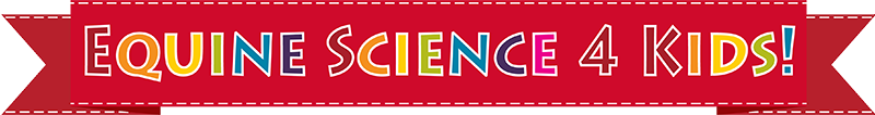 Multi-colored Equine Science 4 Kids! title on a red banner