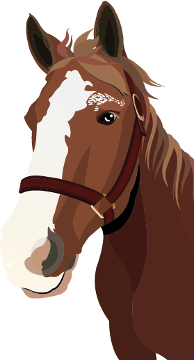 Front view of Lord Nelson, a horse